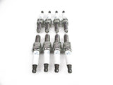 Maserati GranTurismo Quattroporte Ngk spark plugs 8 pcs #685