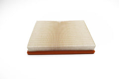Maserati Quattroporte engine air filter TopEuro 10pcs #2086